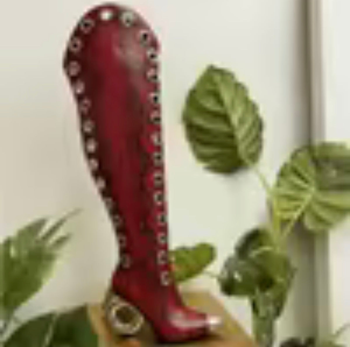 The Scarlett Halo Boot